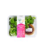UNS Asian Fiesta Salad
