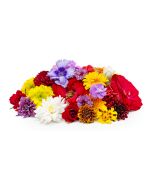 UNS Assorted Flowers