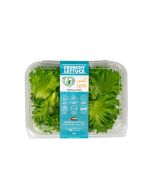 UNS Crunchy Lettuce