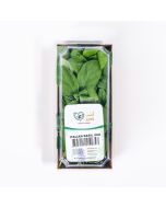 UNS Italian Basil