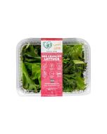 UNS Red Crunchy Lettuce