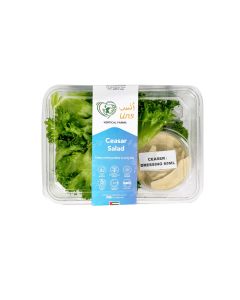 UNS Ceasar Salad