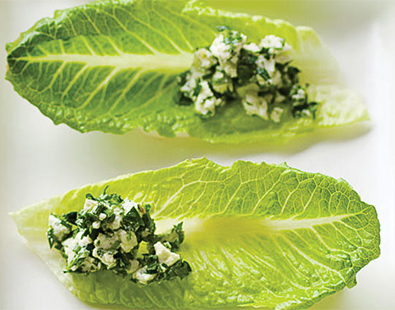 Chimichurri Romaine Spoons