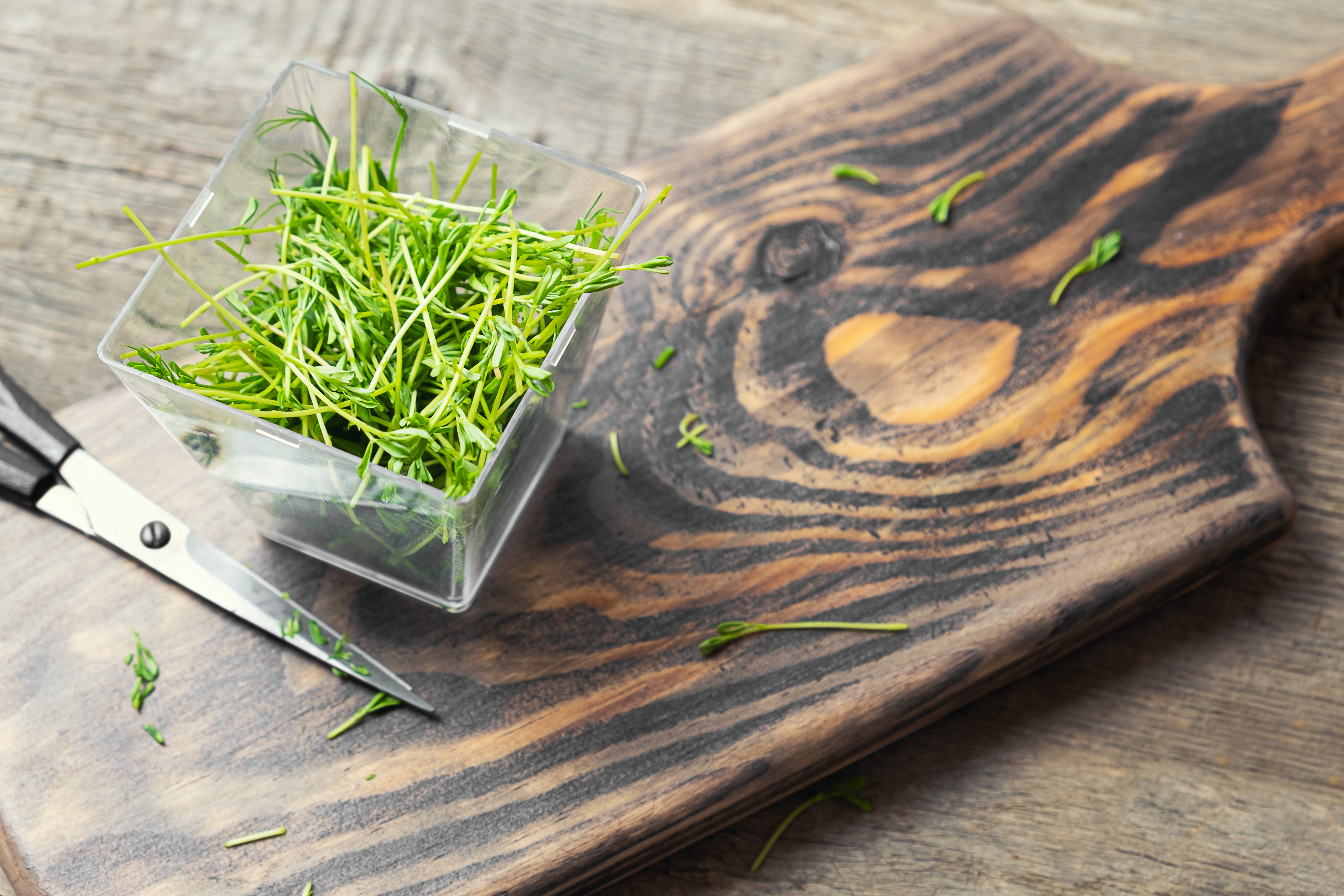 Healthy and Flavorful: 10 Microgreen Recipes to Transform Your Meals